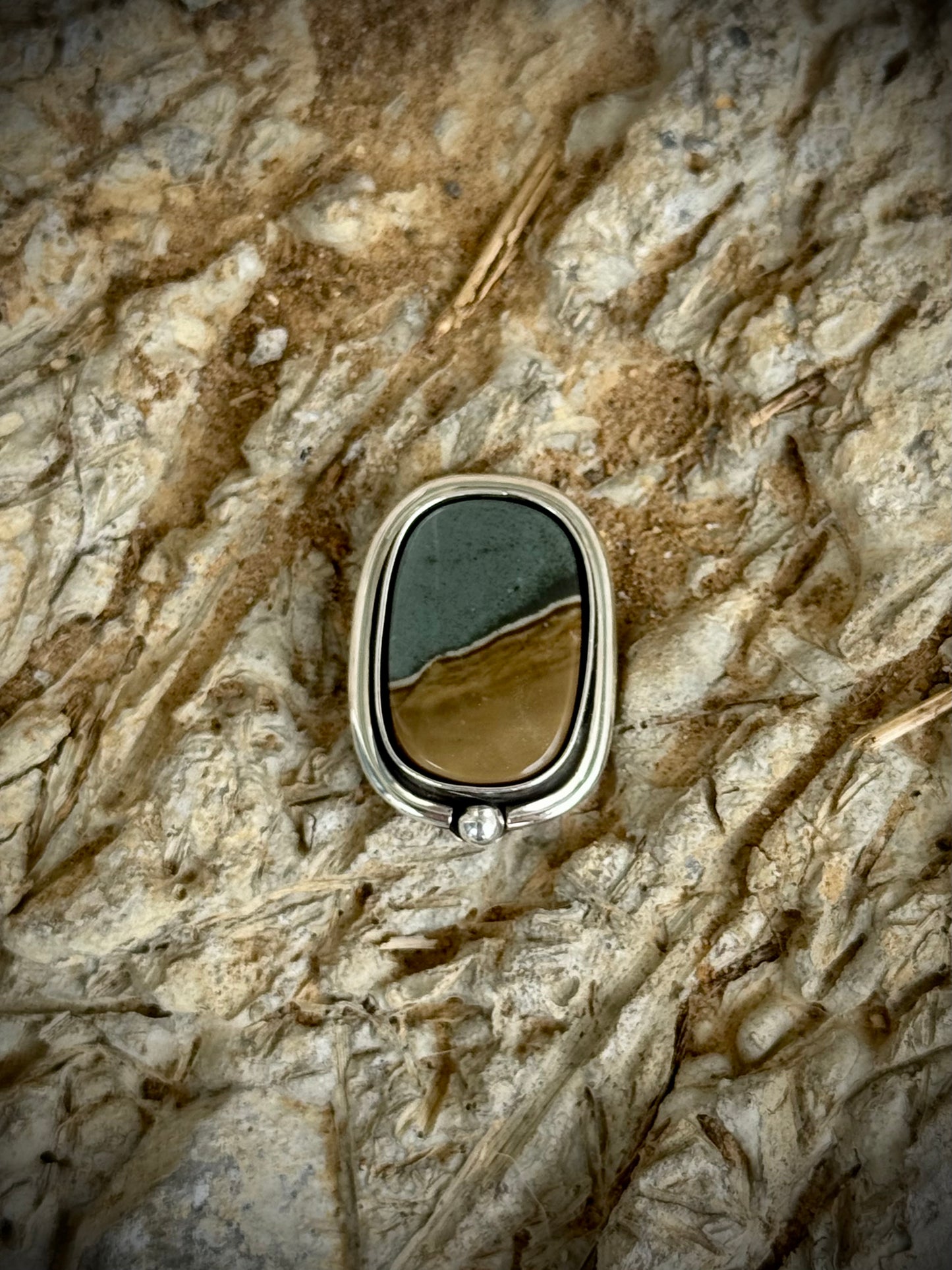 Polychrome Jasper No.4